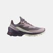 Picture of SALOMON - CROSS OVER 2 GTX W